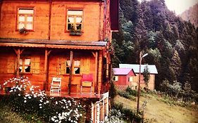 Ayder Liligum Dag Evi